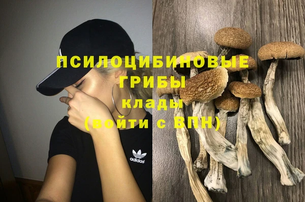 сатива Краснотурьинск