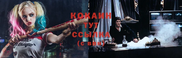 сатива Краснотурьинск