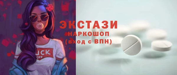 МДПВ Краснослободск
