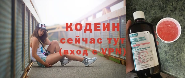 PSILOCYBIN Рославль