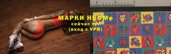 МДПВ Краснослободск